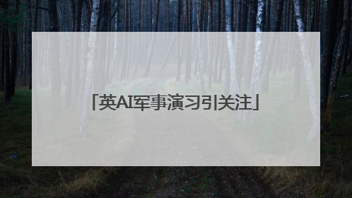英AI军事演习引关注